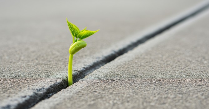 Resources Beyond Therapy Sessions