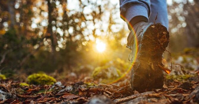 An AuDHD Therapist’s Guide to Counselling